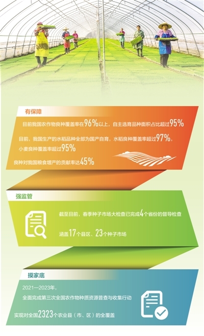 全国农作物良种覆盖率稳定在96以上丰收有底气