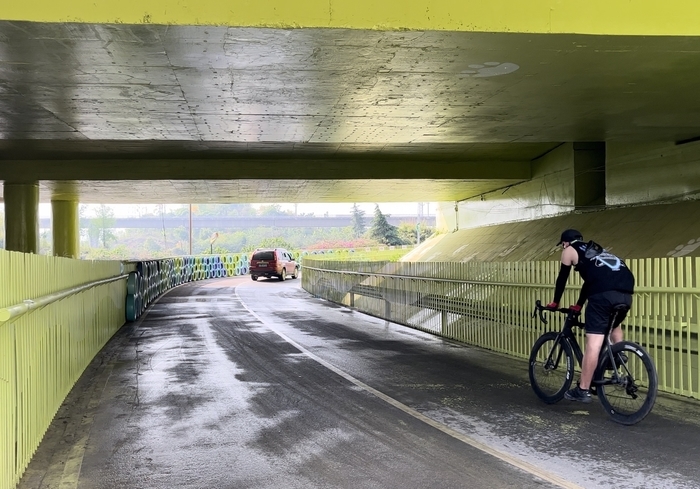 成都绿道单车相撞死亡事件背后：安全事故频发，管理方称正在整改