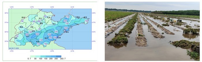 暴雨日57年来最多、10月再现罕见暴雨……山东2022年十大气候事件评出