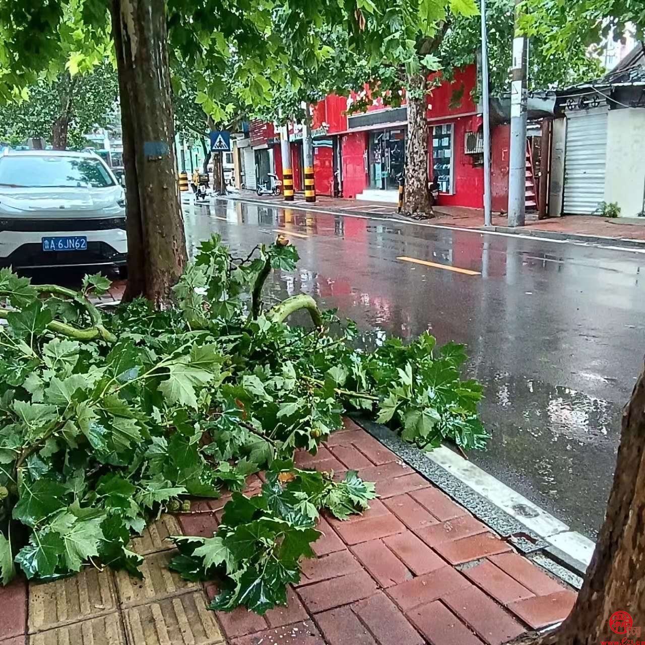 济南市智慧城管服务中心积极应对强降雨全力投入城市防汛