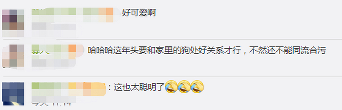 【惯犯】狗子听到家长进门提醒女孩写作业，具体是什么情况？