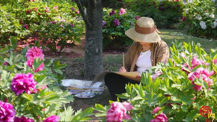 “五一”假期 舜网带您云漫游——济南植物园