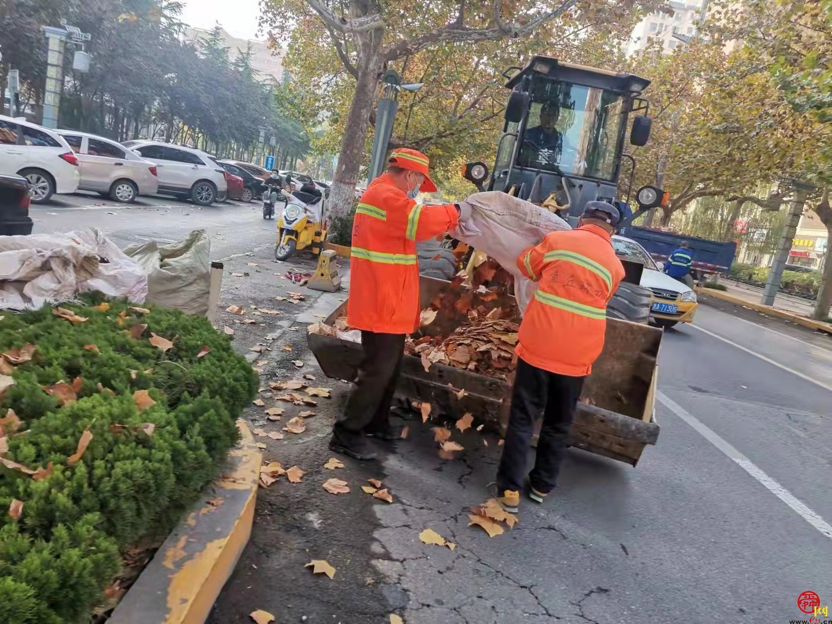 济南18万环卫工连续奋战清扫落叶营造良好出行环境