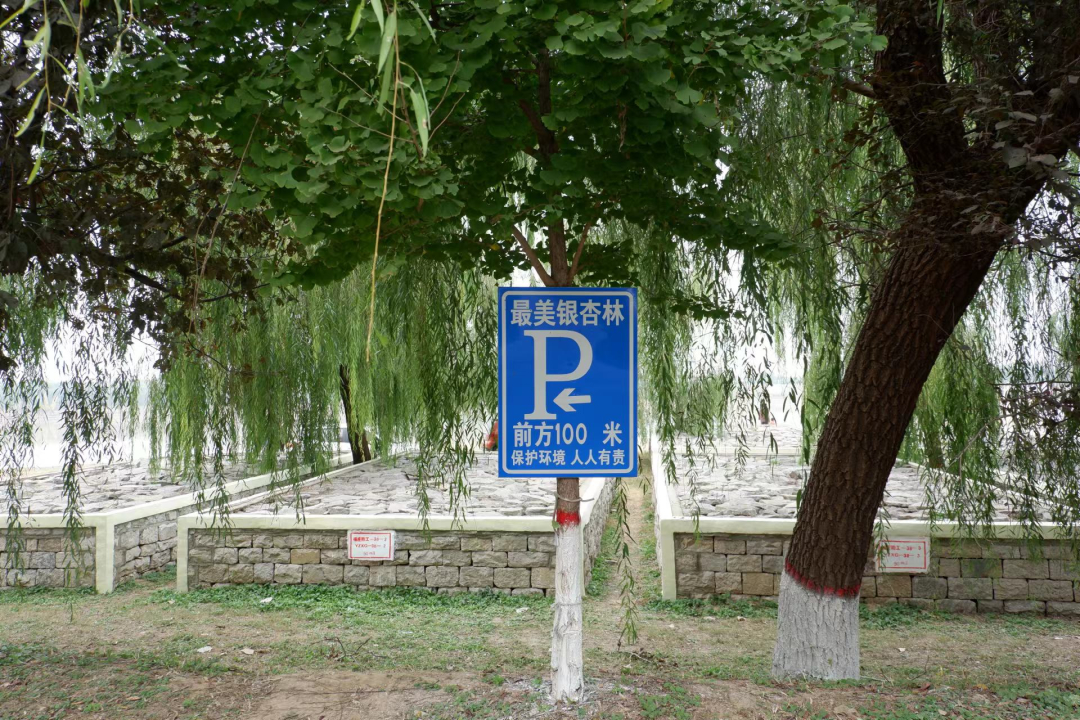 ��������֮·����������������ֹ���ͨ���ѿ���