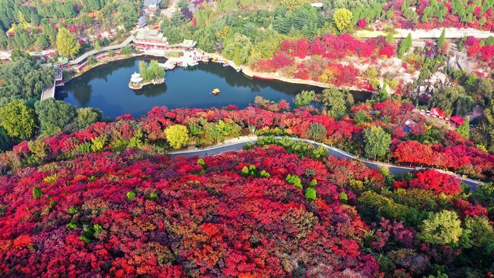 国庆期间赏五彩斑斓红叶谷如诗如画惹人醉