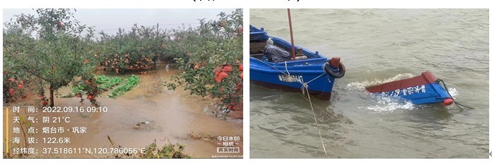 暴雨日57年来最多、10月再现罕见暴雨……山东2022年十大气候事件评出