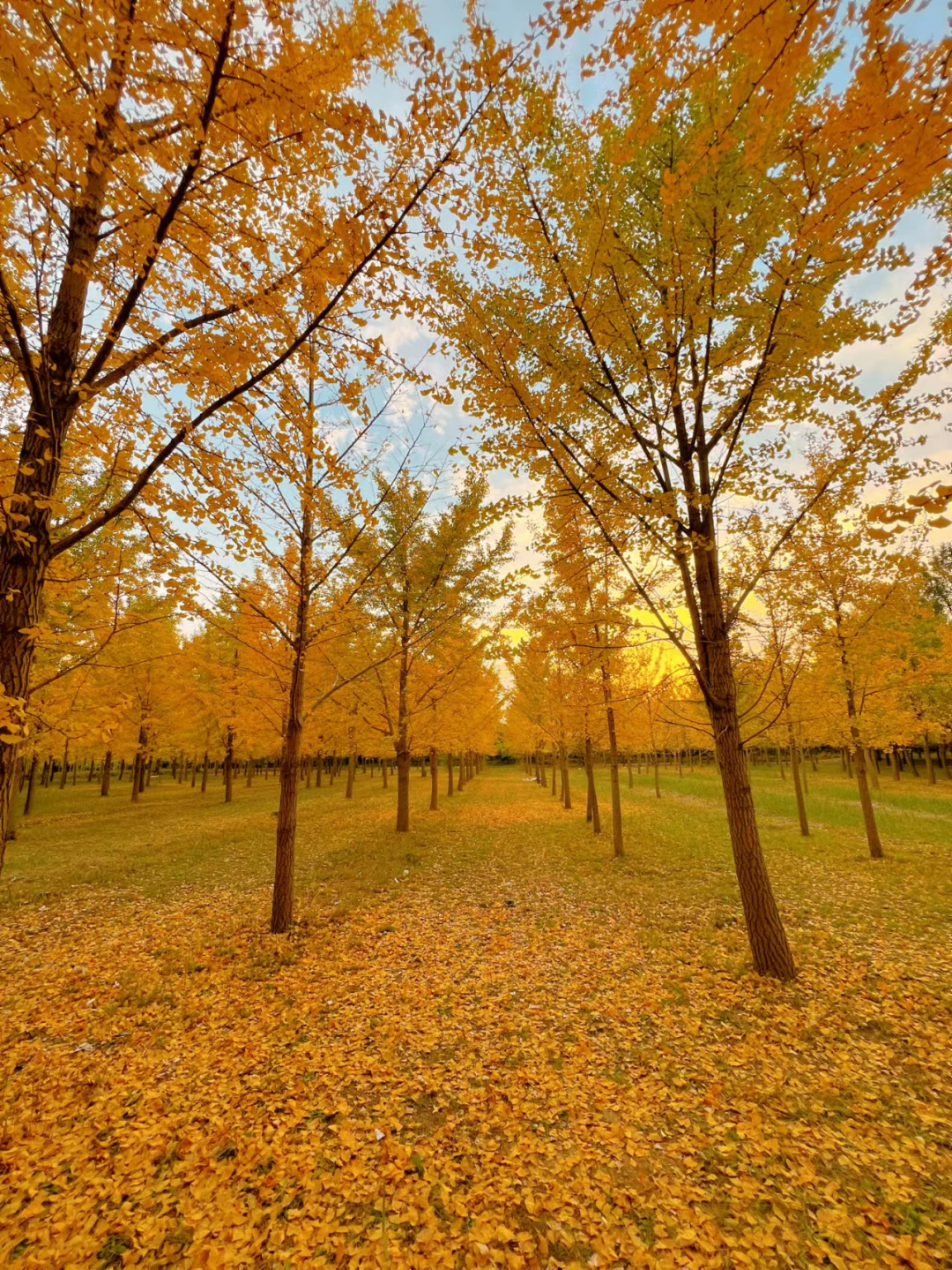 ��������֮·����������������ֹ���ͨ���ѿ���