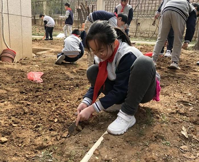 山师附小雅居园校区综合实践学科开展劳动教育之种植活动