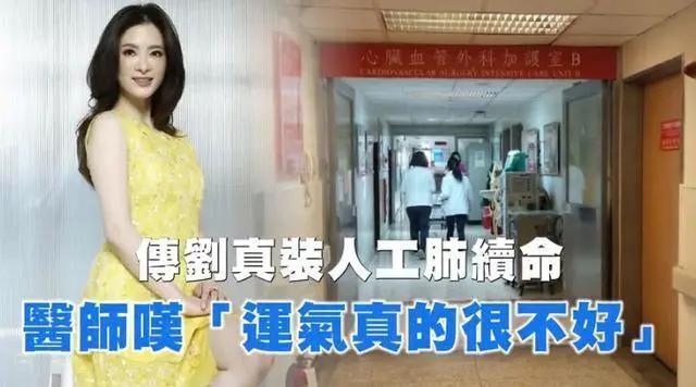 医院辟谣刘真去世 5次开颅手术、装人工肺续命均系谣言