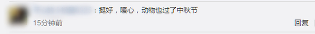冲上热搜！12种野生动物吃到12款定制月饼 网友：我也想吃