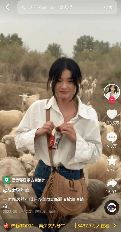 山东00后女孩新疆牧羊涨粉百万：8分钟宰一只羊，一包干脆面就能召唤羊群 