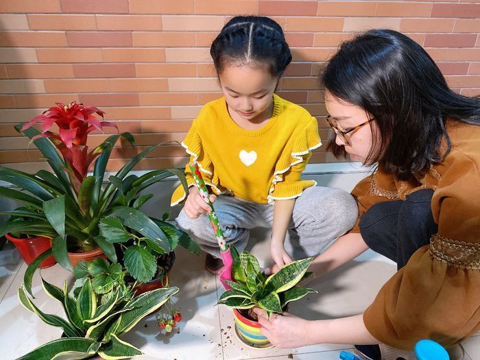 天桥区滨河左岸小学开展迎劳动节种植绿植活动