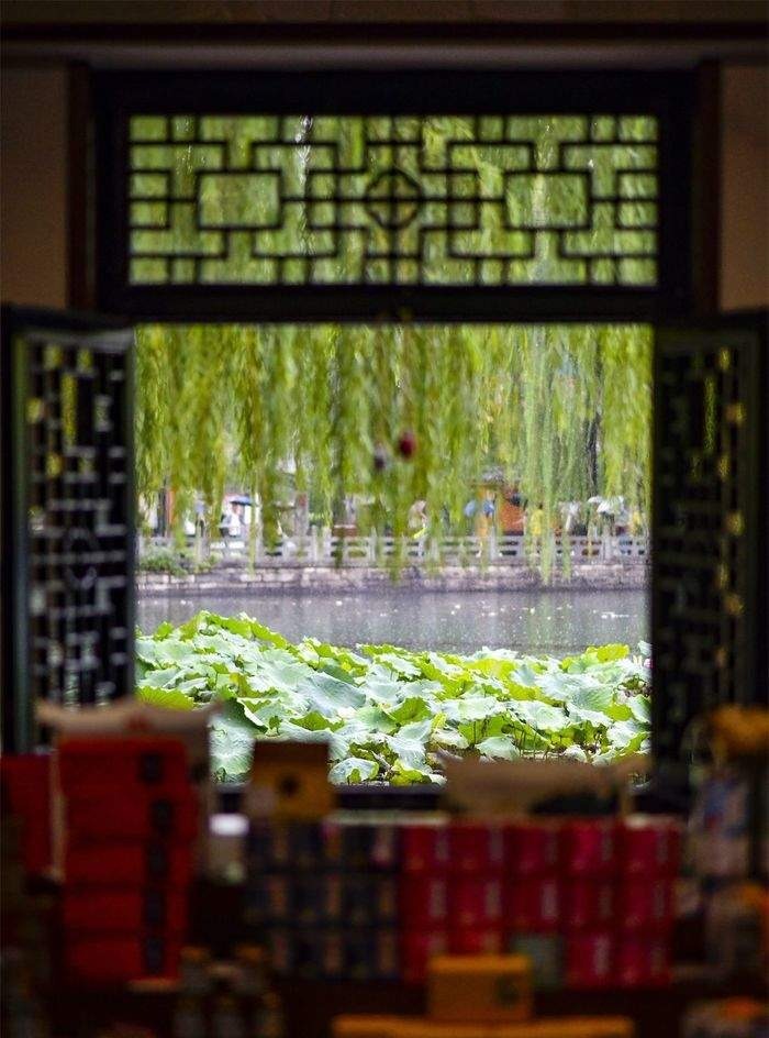 初秋绵绵细雨 老城美成了烟雨江南