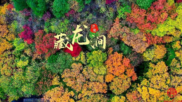 舜视频