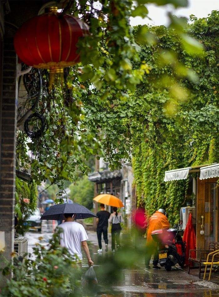 初秋绵绵细雨 老城美成了烟雨江南