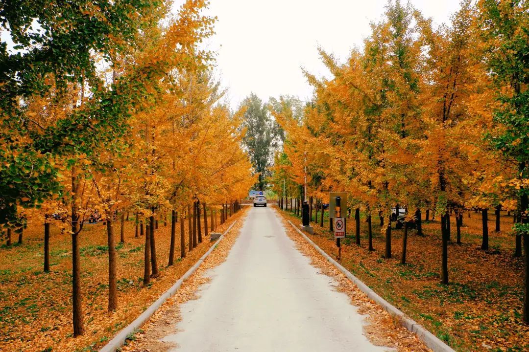 ��������֮·����������������ֹ���ͨ���ѿ���