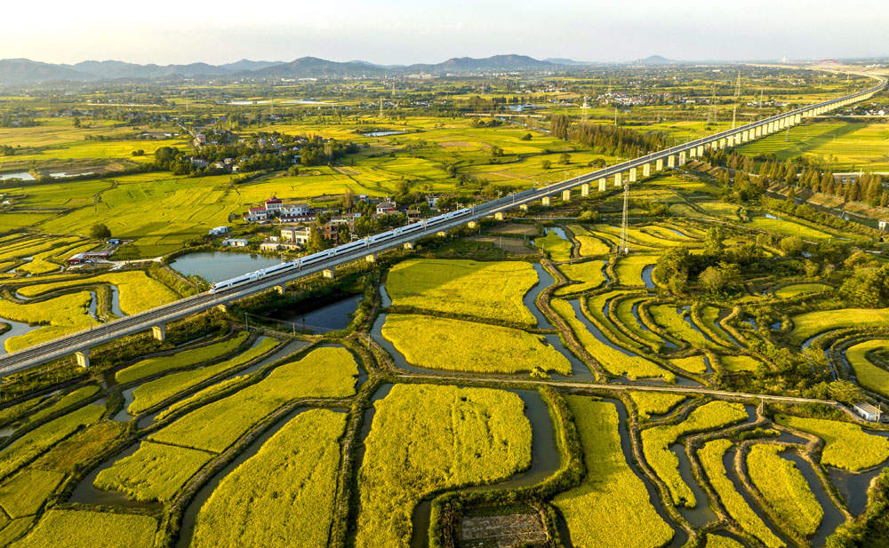 组图大美中国丰收在望