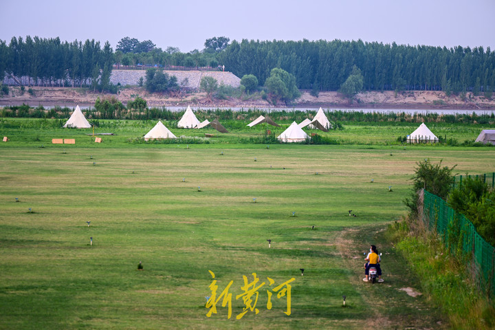 济南黄河生态草坪图片