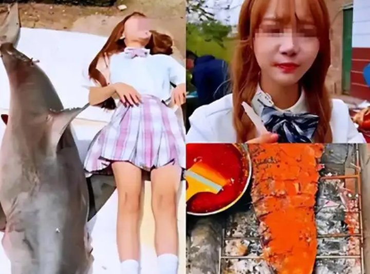 京东回应：网红购买的“大白鲨”未在平台销售