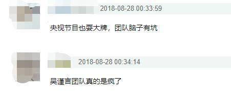 吴谨,团队,于正,娱乐圈,演员,模仿,艺人,网友