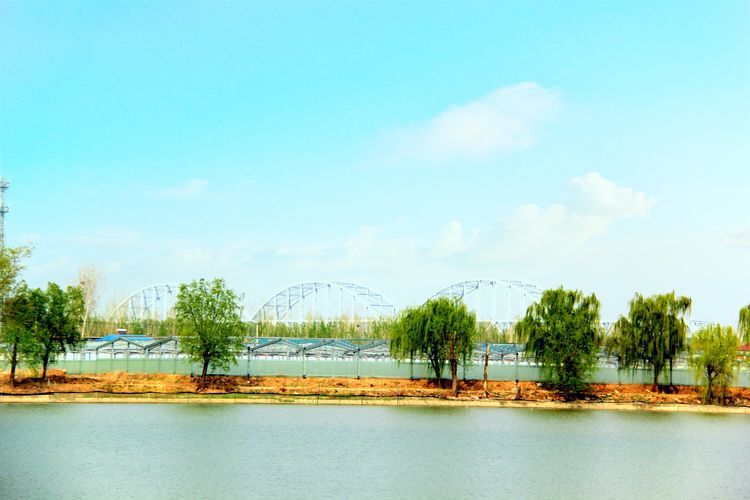 迎面春风拂,情系美里湖 - 济南社会 - 舜网新闻