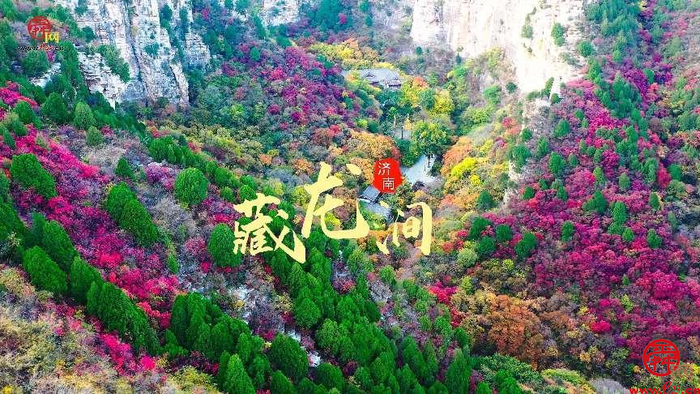 舜视频