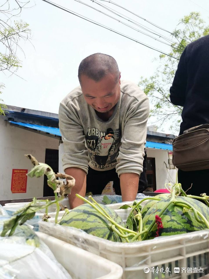 扶贫瓜链接乡村振兴，薛城区大吕巷大棚种植产业念活“致富经”