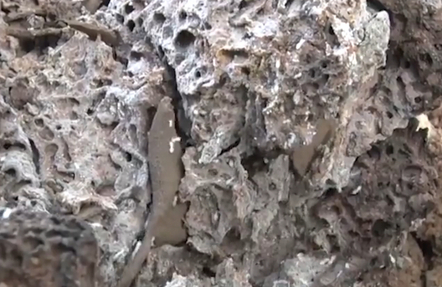 异性起鸡皮疙瘩是什么意思(异性起鸡皮疙瘩是什么意思呀)