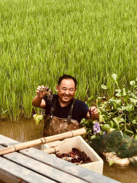 槐荫席家庄村：济南网红打卡村  这里藏着我们的乡愁