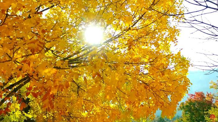 【飞“阅”泉城】佛山秋韵 五彩山河入梦来