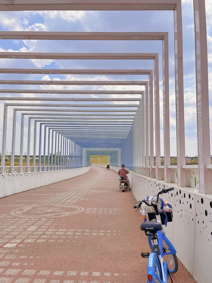 成都绿道单车相撞死亡事件背后：安全事故频发，管理方称正在整改