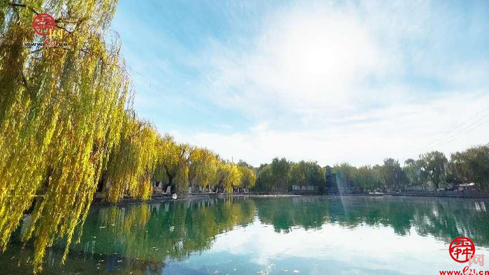 舜视频丨寒潮来袭 美丽“冻”人 泉城初冬景色尽收眼底！