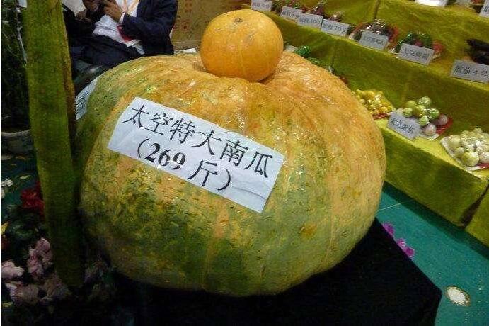 日供武汉2000吨蔬菜，网友纷纷为寿光点赞！