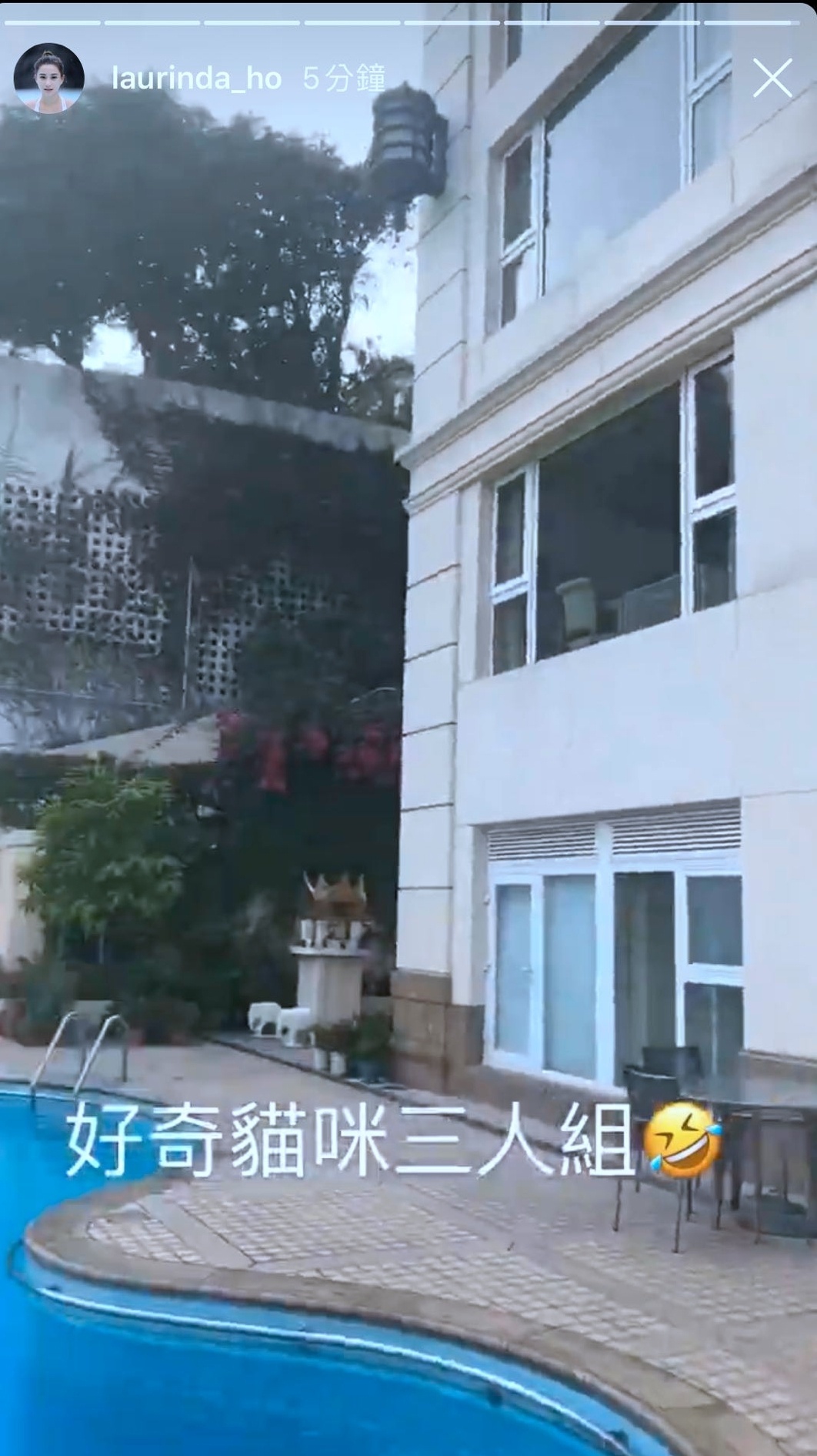 同居|何超莲窦骁疑已同居真的假的？赌王丧礼后何超莲高调秀恩爱暴露两人N多小秘密