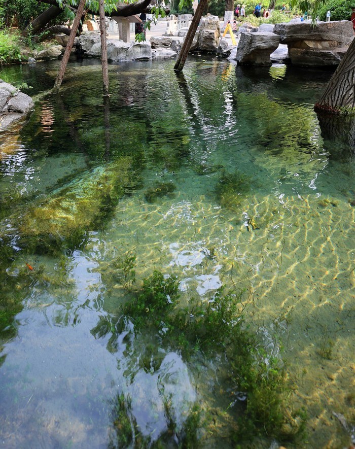 诗画名泉│虬溪泉:如虬龙吐水风格独具