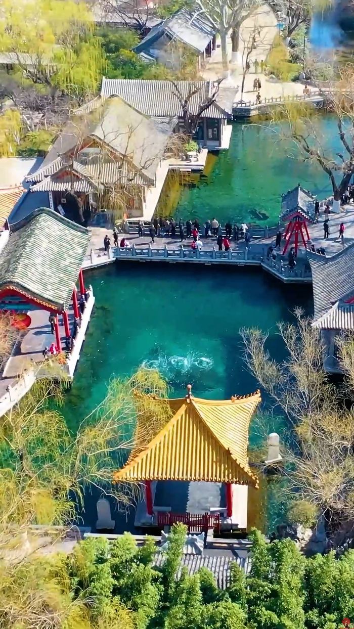 舜视频｜泉城春色 就要扑面而来了