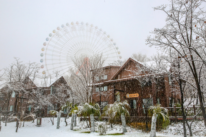 濟南野生動物世界3000只小動物鬧初雪