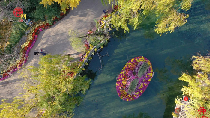 舜视频丨 冬菊傲霜泉水清冽 来感受趵突泉醉人冬韵