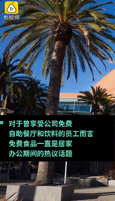 谷歌取消居家补贴 员工：我的生产力已消失 网友：不裁员就不错了