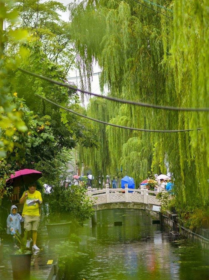 初秋绵绵细雨 老城美成了烟雨江南