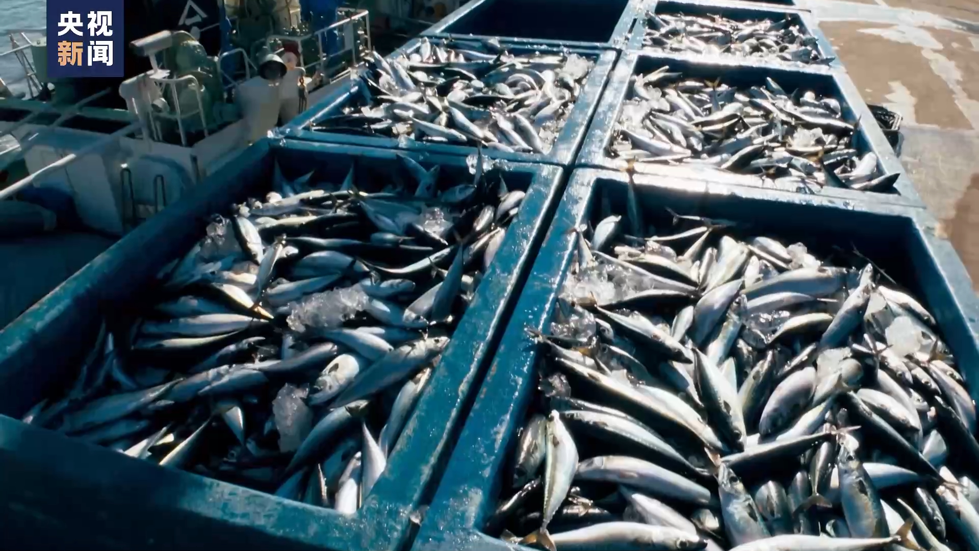 日本一意孤行强推核污染水排海福岛渔业从业者愤慨之外空余无奈