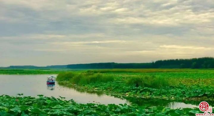 【水乡白云】“荷”你相约！！2022年白云湖生态文化旅游节即将开启！