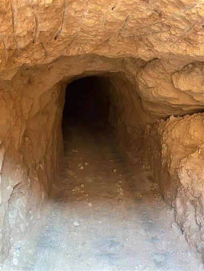 最深盗洞超500米 有祖孙三代盗采“龙骨”古生物化石