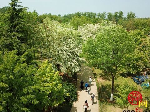 文明游园成为济南植物园最美风景