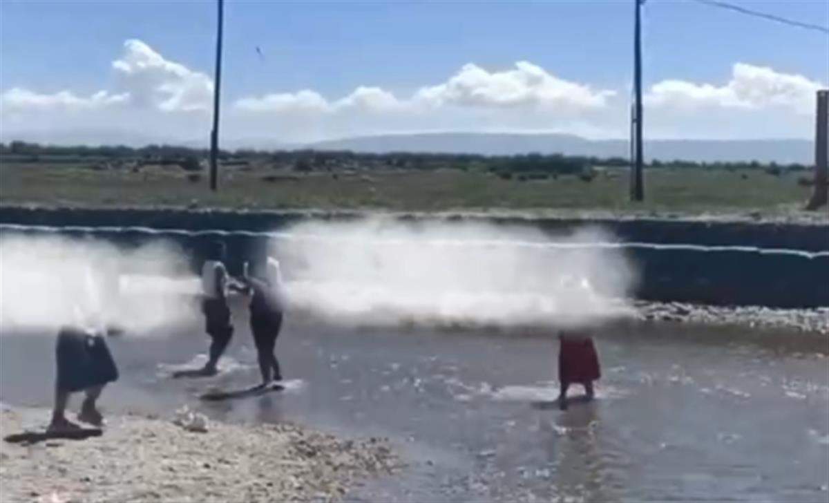 青海湖景区多人翻越围栏下水抓濒危物种湟鱼，还用木棍砸？当地已介入调查