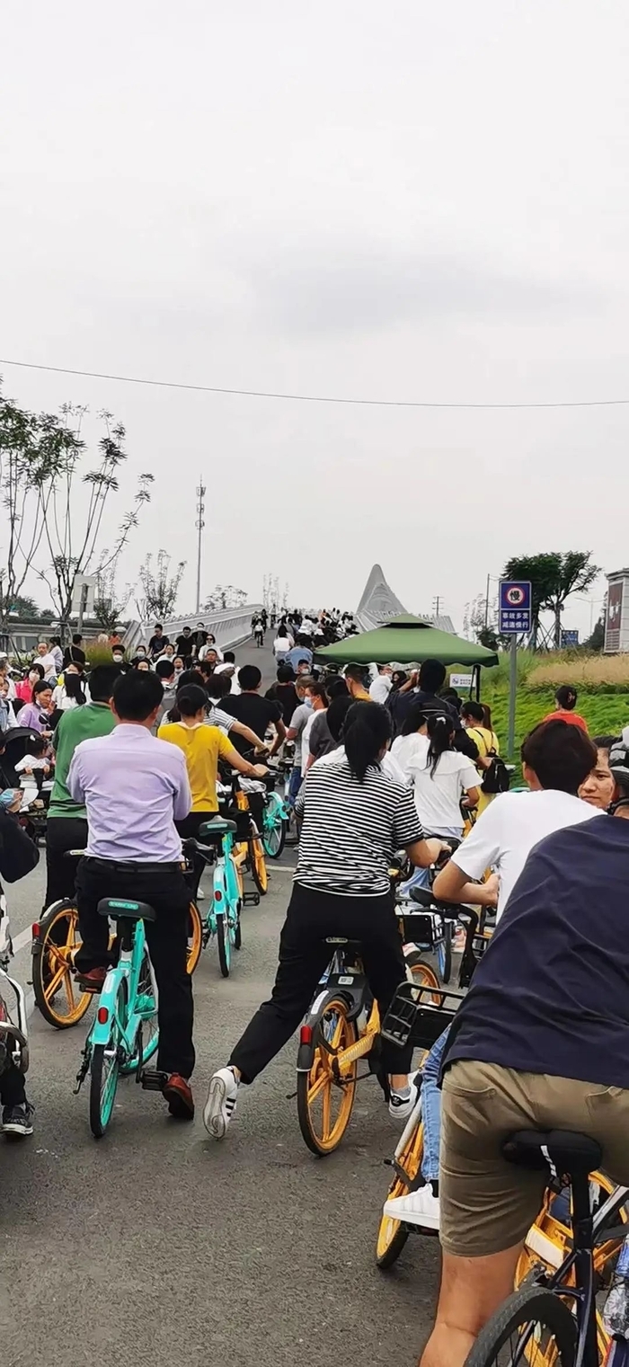 成都绿道单车相撞死亡事件背后：安全事故频发，管理方称正在整改