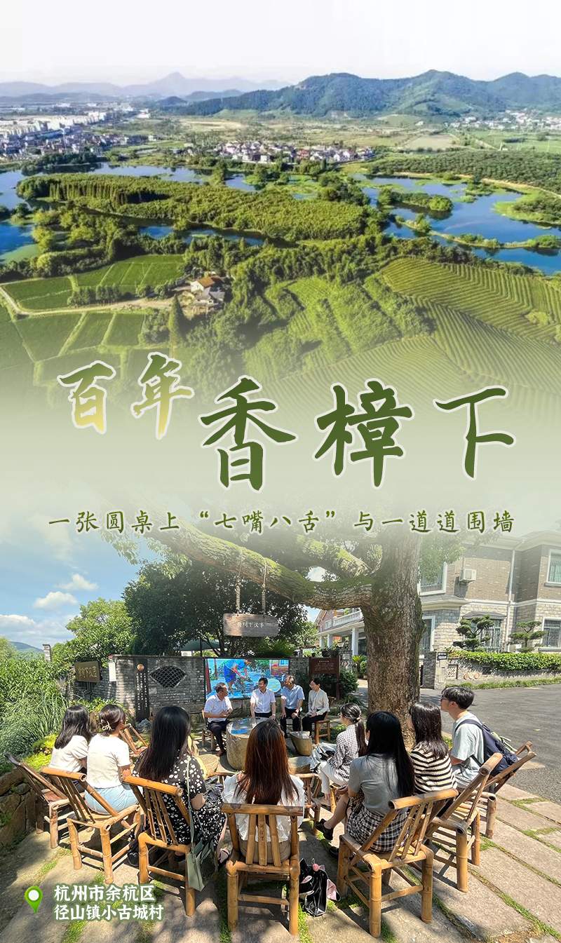 中国枫景丨枫桥经验一甲子传承密码在浙里