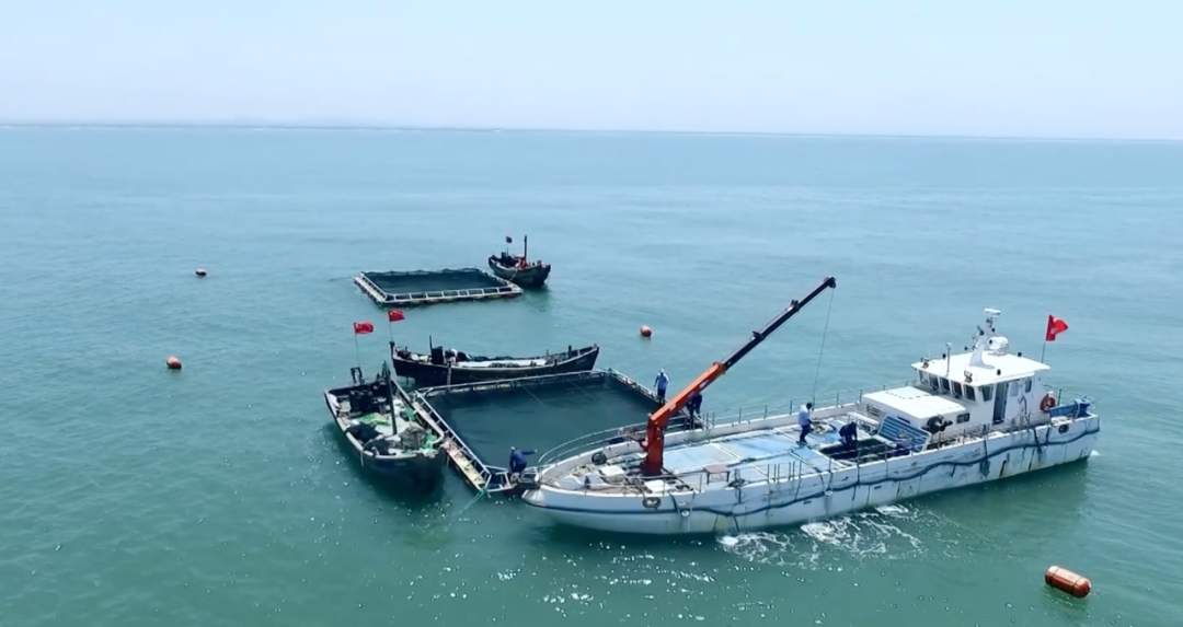 十年卫星图见|全国最多的海洋牧场,全球最大养殖工船,世界最大深海