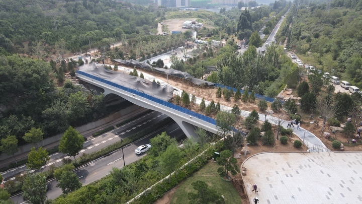 山东首座“绿色生态桥”显现新容