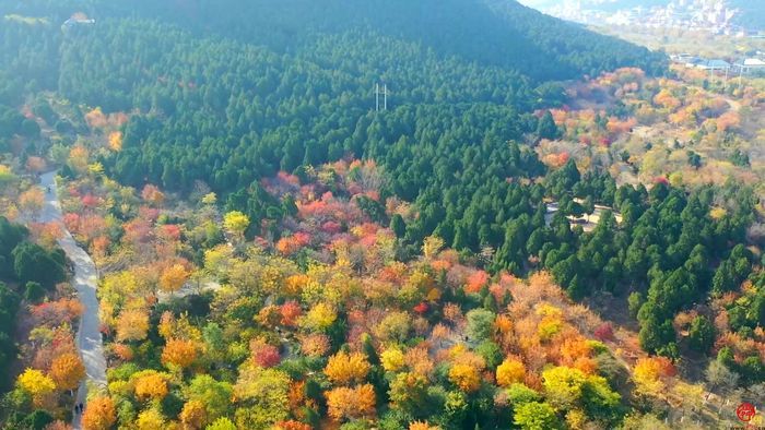 【飞“阅”泉城】佛山秋韵 五彩山河入梦来